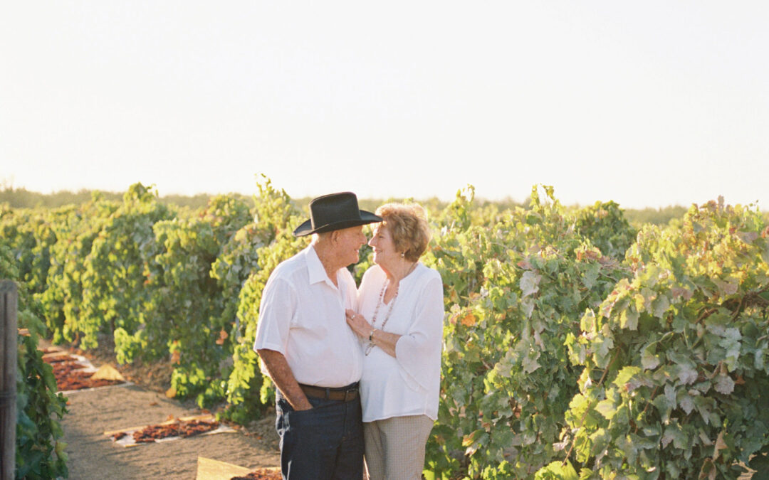 An Evening Among a Vineyard