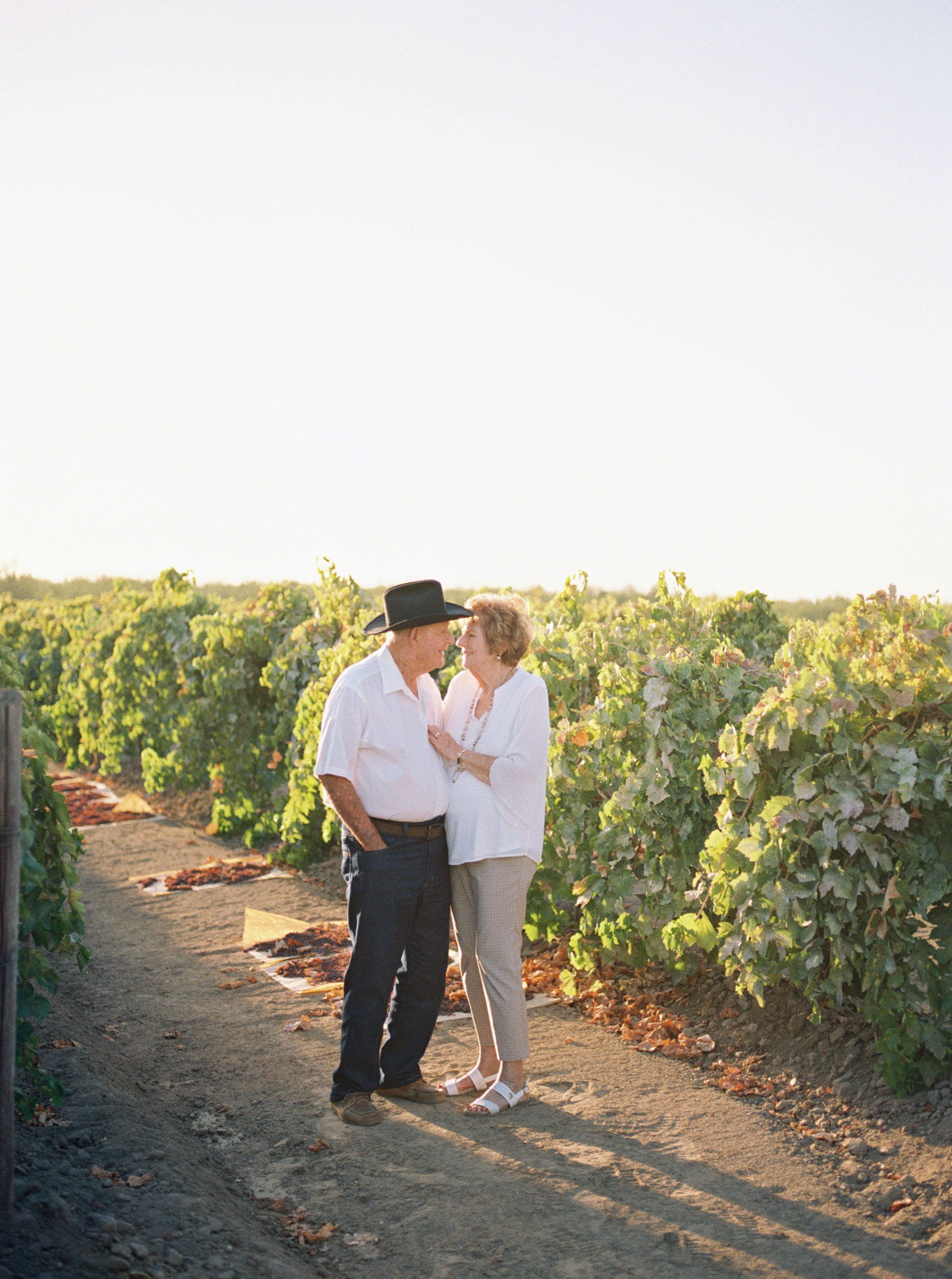 An Evening Among a Vineyard